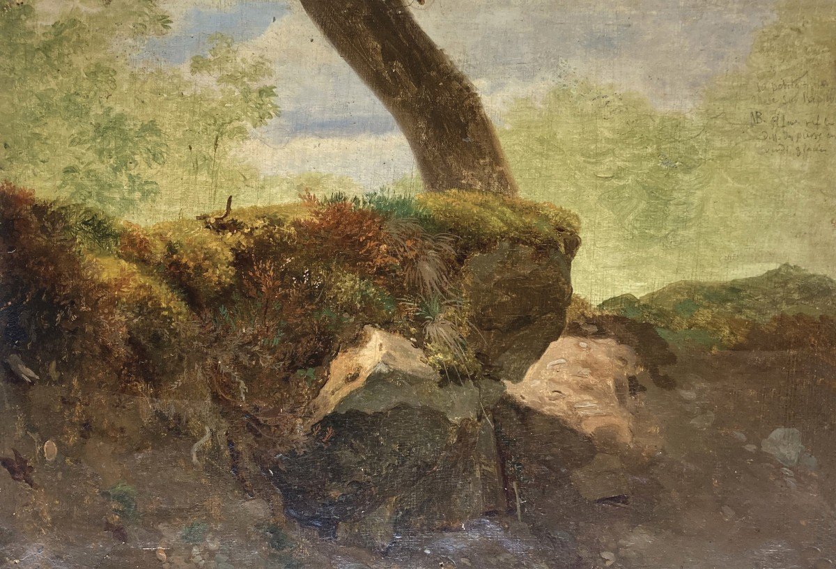 TÖPFFER Rodolphe (1799-1846) "Paysage, tronc et rochers" Huile/papier,Cadre du 19e et cartouche-photo-4