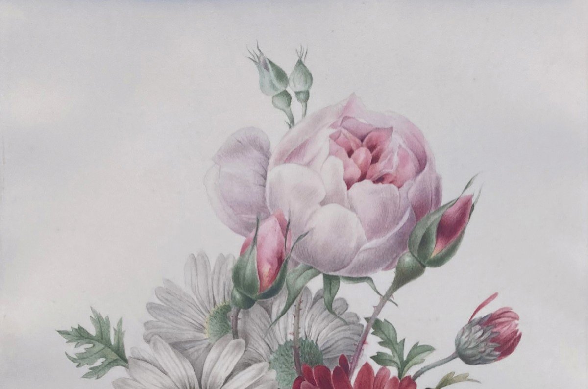 Redouté Pierre-Joseph (1759-1840) "Fleurs" Aquarelle sur vélin, Annoté, Cadre 19e-photo-2