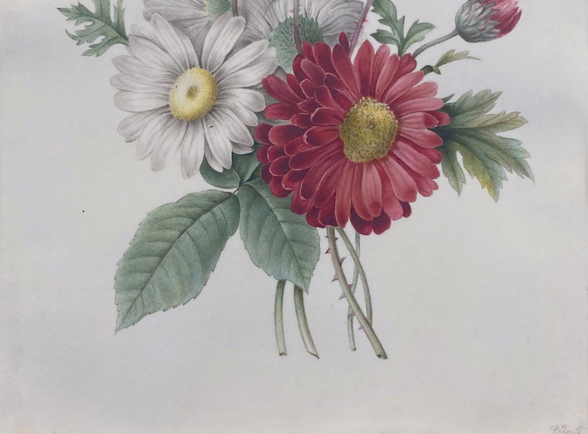 Redouté Pierre-Joseph (1759-1840) "Fleurs" Aquarelle sur vélin, Annoté, Cadre 19e-photo-3