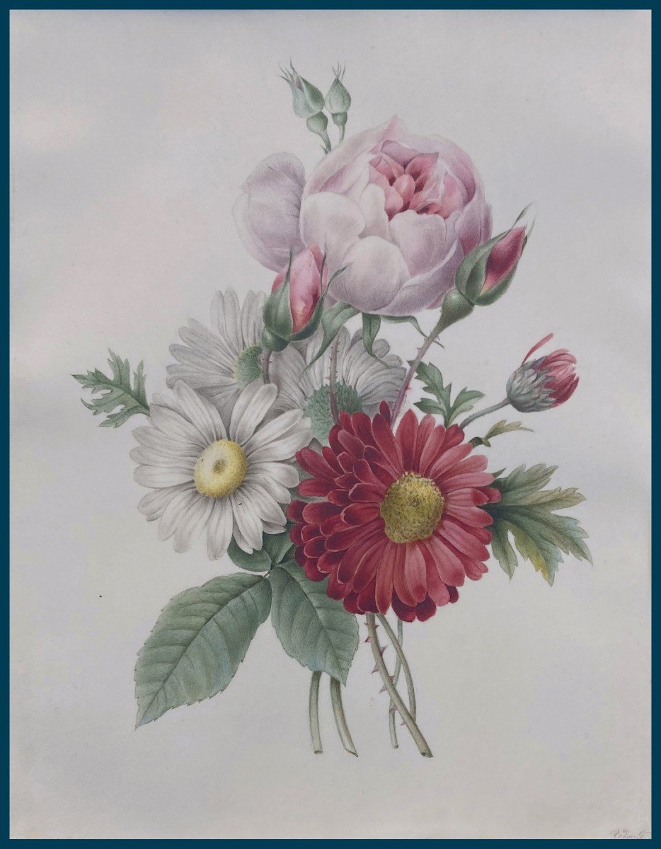 Redouté Pierre-Joseph (1759-1840) "Fleurs" Aquarelle sur vélin, Annoté, Cadre 19e-photo-4