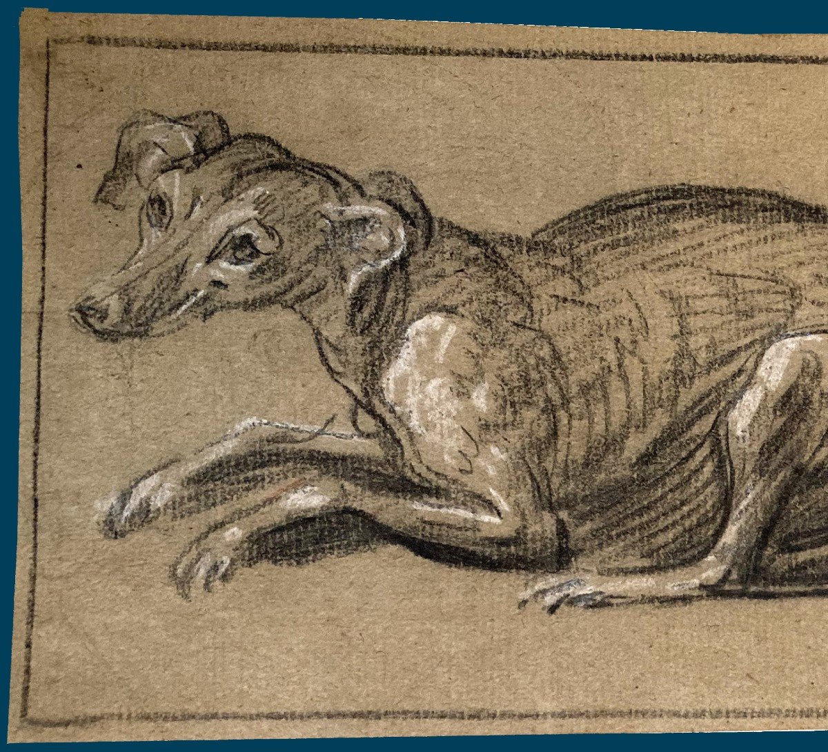 Northern School 18th Century "study Of Dogs" Drawing/black Chalk, White Chalk, Provenance/stamp-photo-2