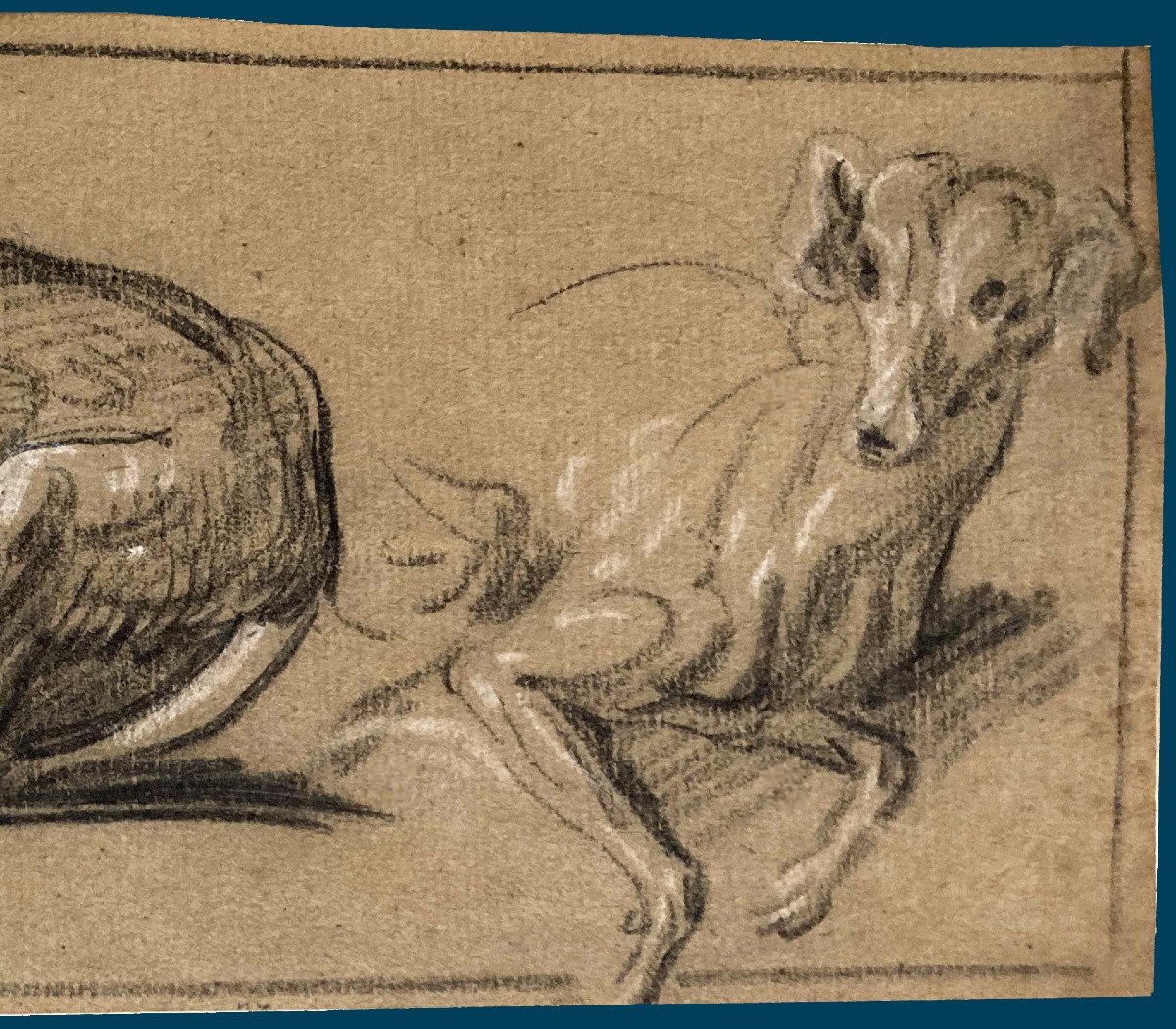 Northern School 18th Century "study Of Dogs" Drawing/black Chalk, White Chalk, Provenance/stamp-photo-3