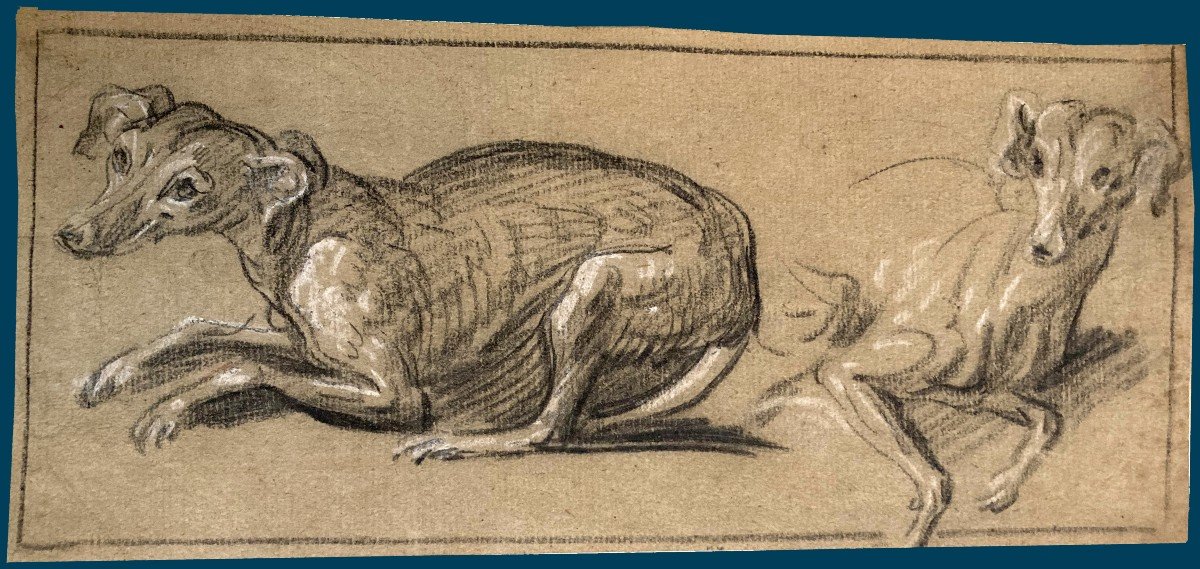 Northern School 18th Century "study Of Dogs" Drawing/black Chalk, White Chalk, Provenance/stamp