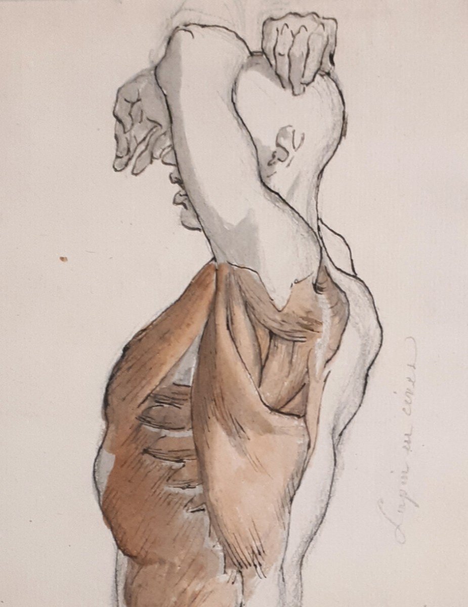 Gaillot Bernard (1780-1847) "anatomical Studies Of Torso And Back" 2 Drawings/pen, Gray Wash, Red Chalk-photo-4