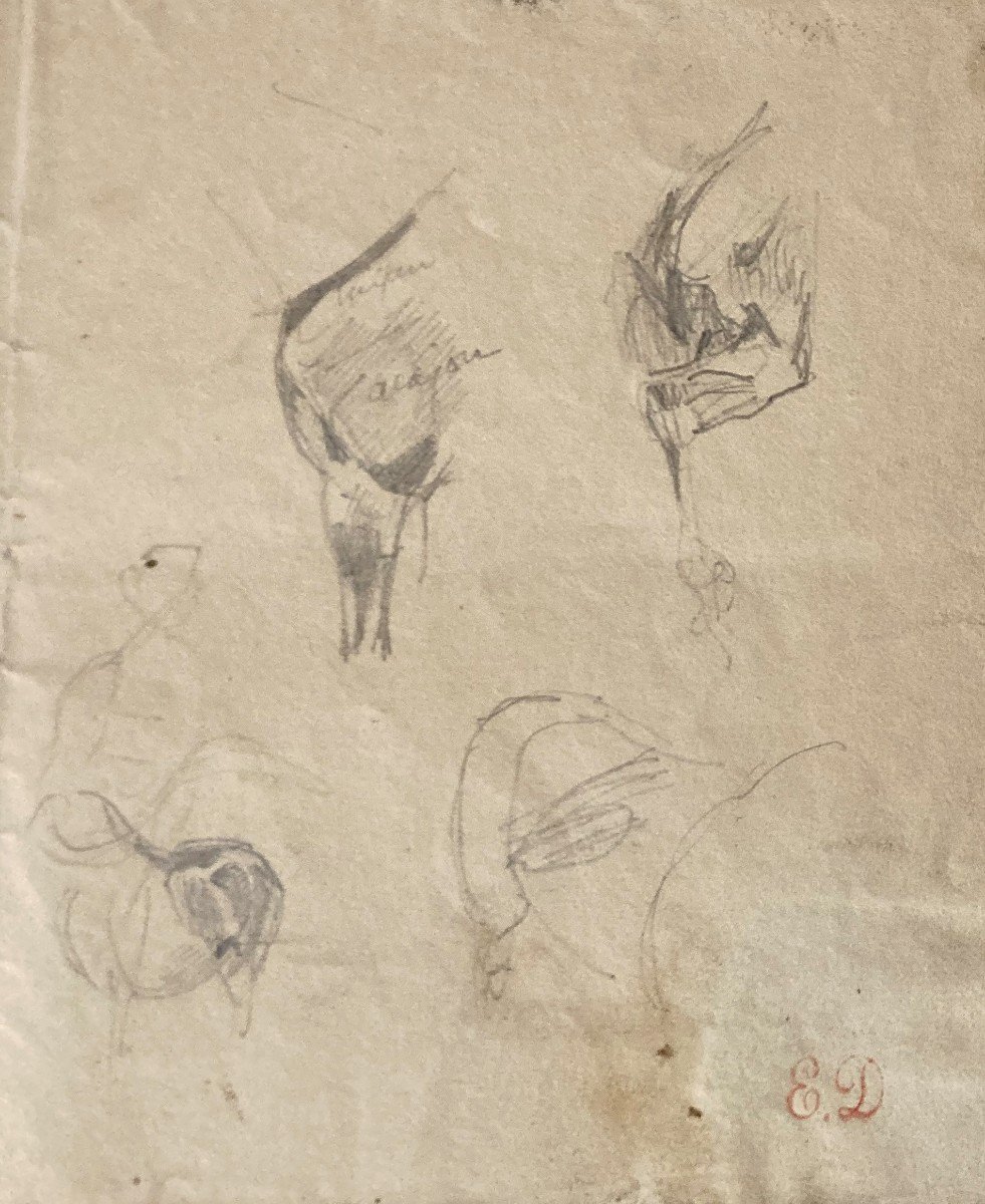 Delacroix Eugène (1798-1863) "studies Of Horses" Drawing/black Pencil, Stamp/sale After Death-photo-4