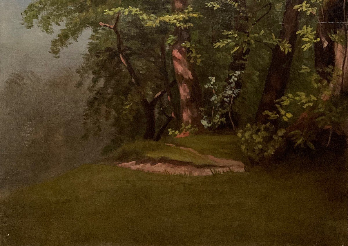 FLACHERON Isidore (1806-1873) "Arbres" Huile sur toile-photo-3