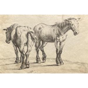 Flemish School 18th Century "two Horses" Pen Drawing And Gray Wash