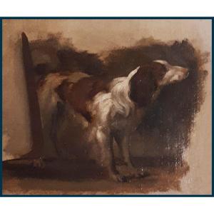 French School Late 18th Century "a Dog" Oil On Paper