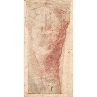 "study Of A Torso" Italian School 16th Century, Drawing In Red Chalk