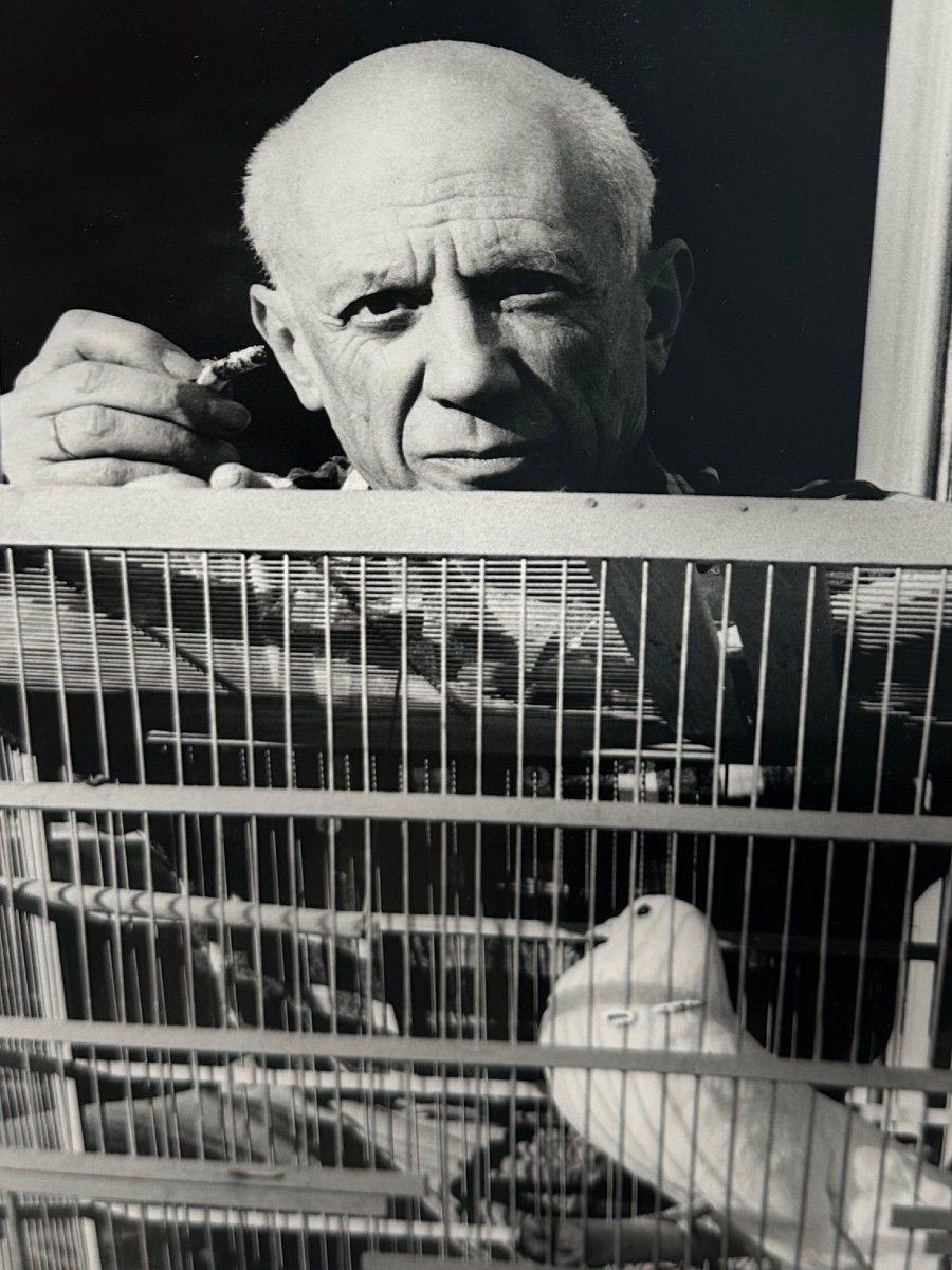 Lucien Clergue - Pablo Picasso At La Colombe - Cannes - 1955 - Analogue Photography -photo-4