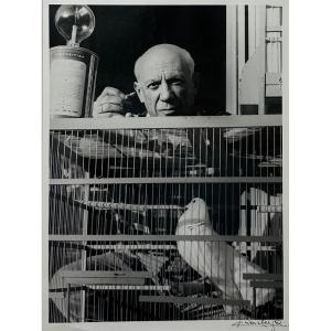 Lucien Clergue - Pablo Picasso à La Colombe - Cannes - 1955 - Photographie Argentique 