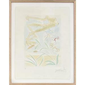 Salvador Dali - Extract From The Series The Bestiary Of The Fountain Dalinized - 1974 - Drypoint