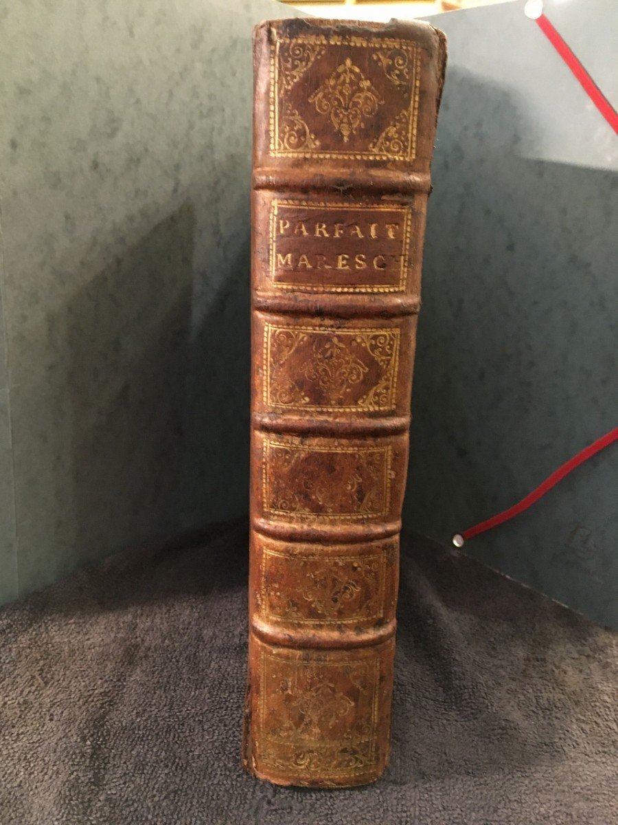 Trés Rare Livre Ancien Le Parfait Mareschal  1744 