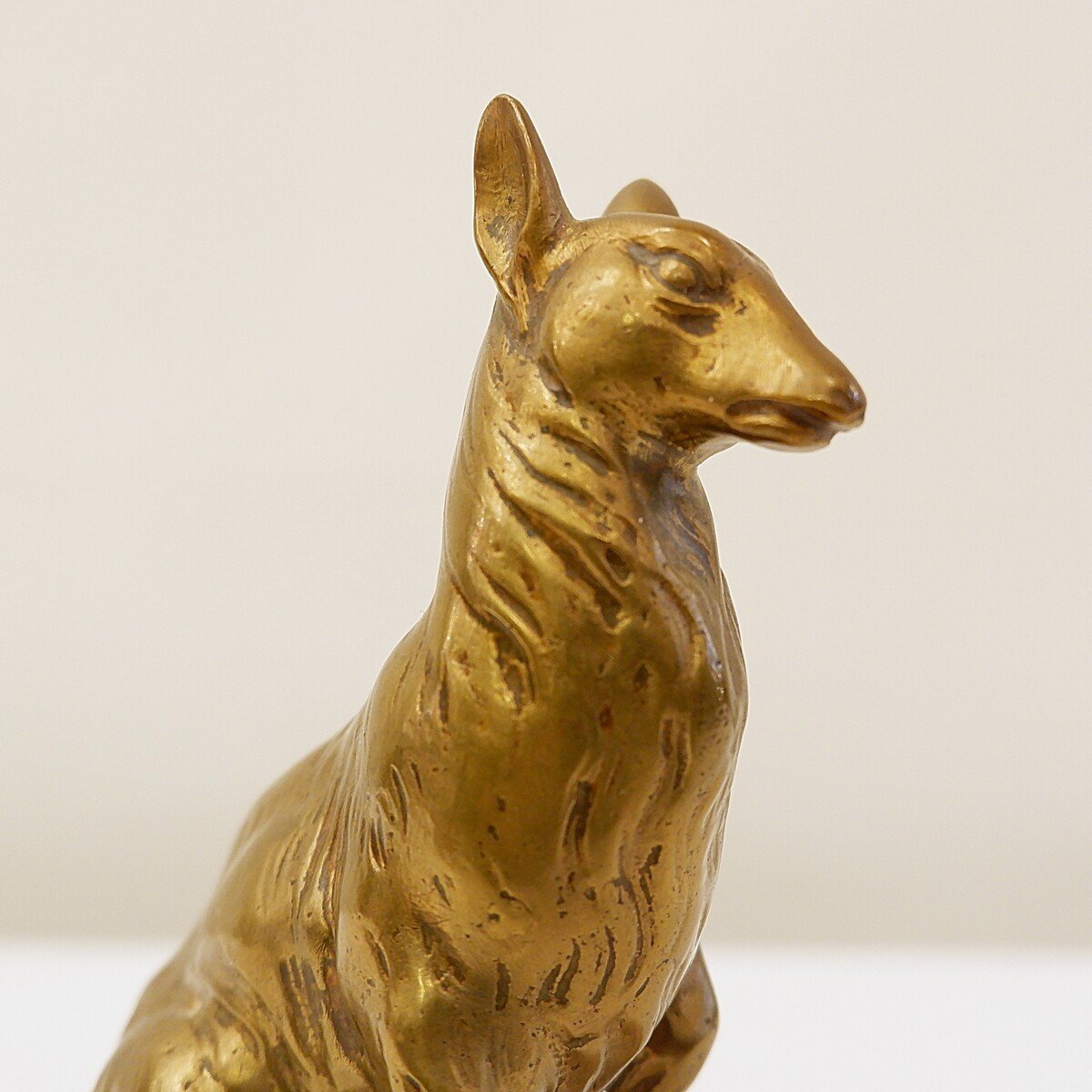 Bronze Kangaroo-photo-3