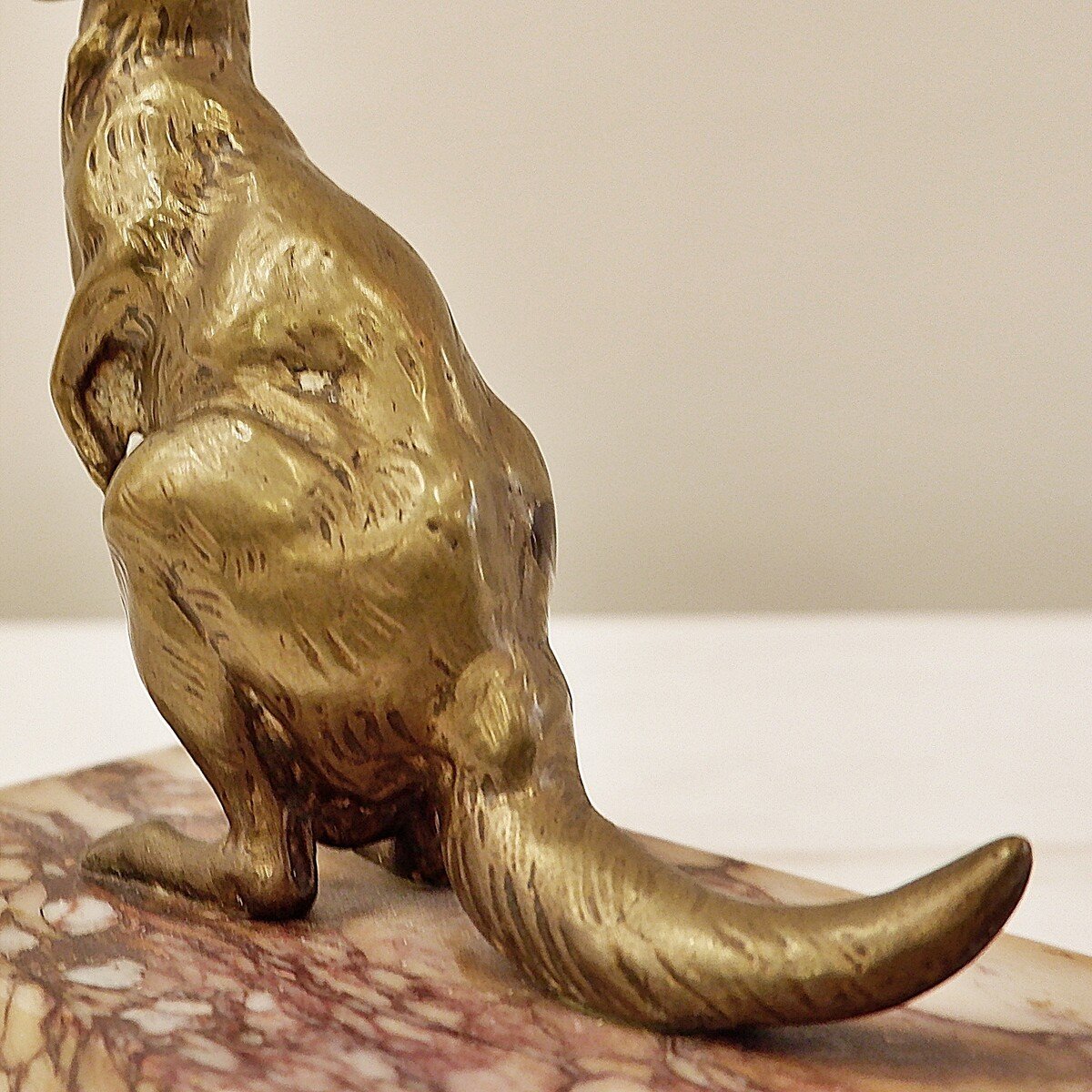 Bronze Kangaroo-photo-3