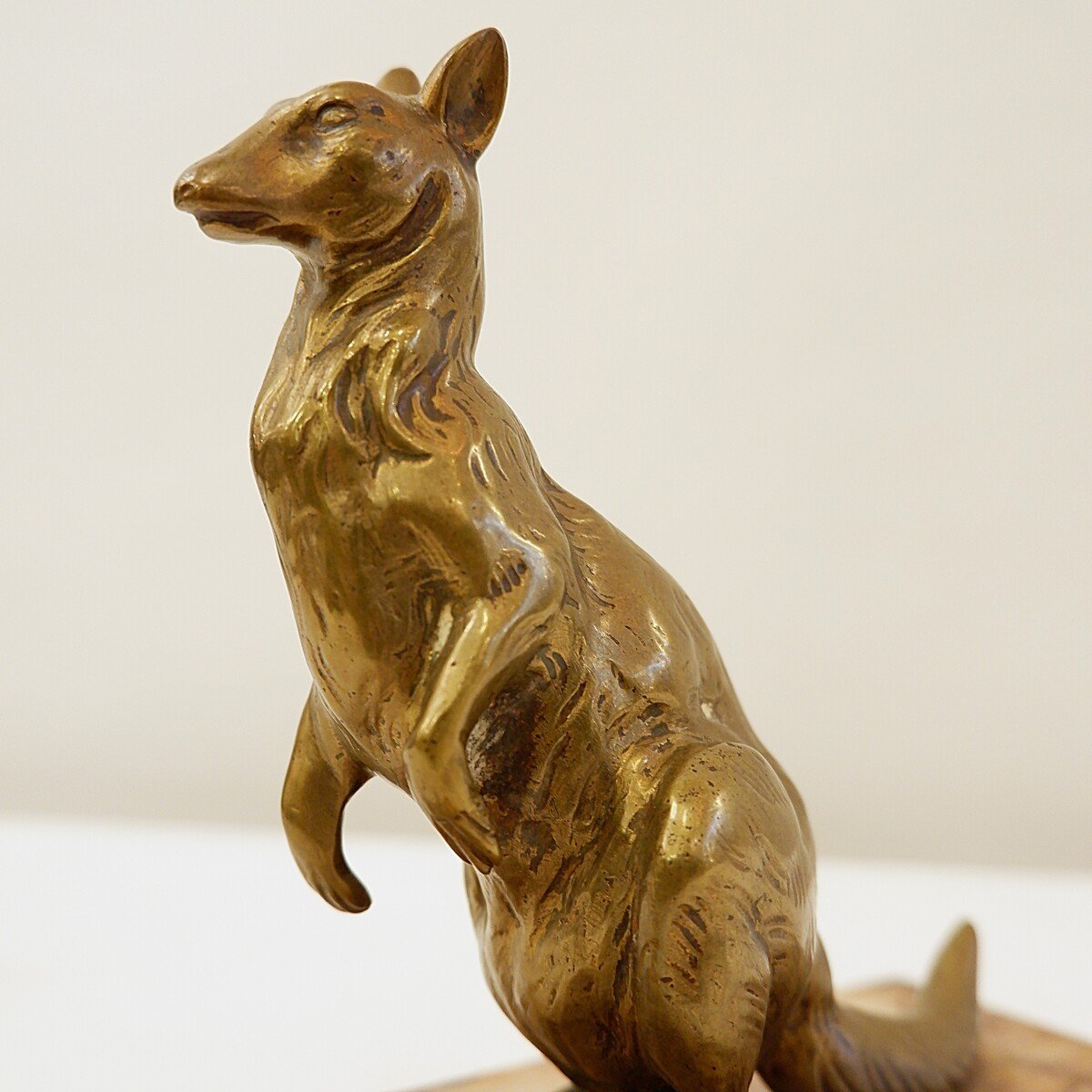 Bronze Kangaroo-photo-5