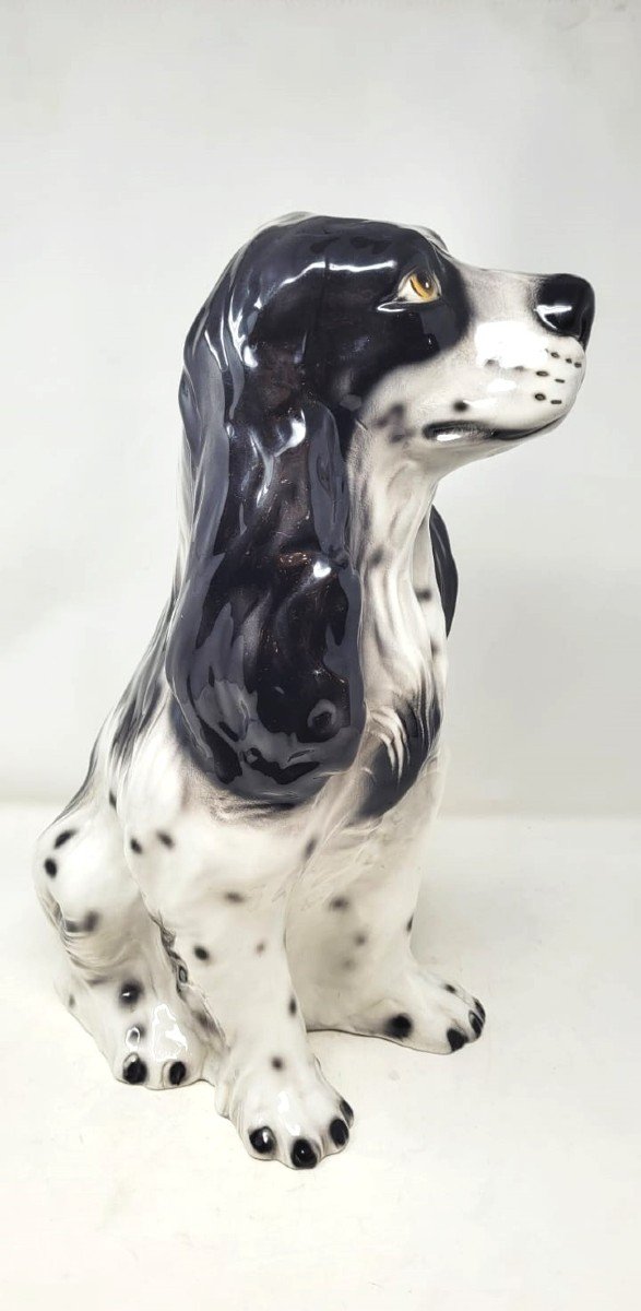 Glazed Ceramic - Spanish Cocker Spaniel - Circa 1970-photo-2