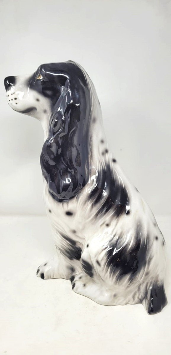 Glazed Ceramic - Spanish Cocker Spaniel - Circa 1970-photo-4