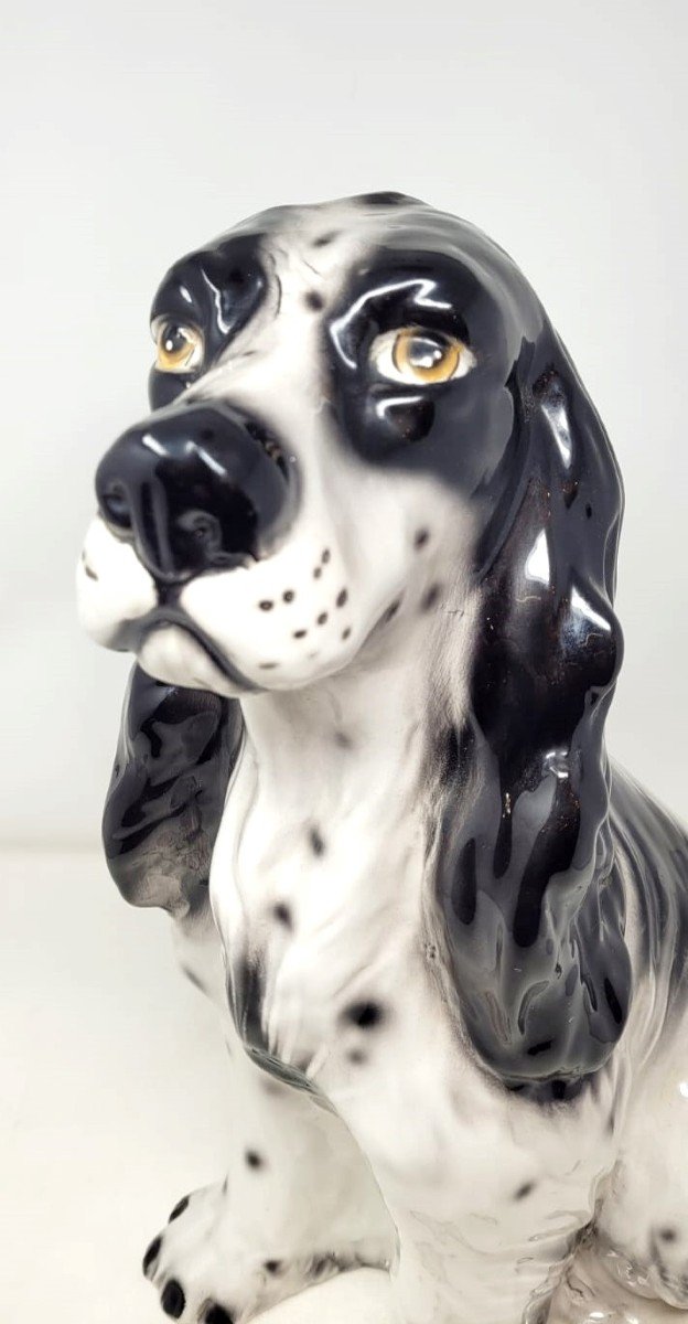 Glazed Ceramic - Spanish Cocker Spaniel - Circa 1970-photo-1