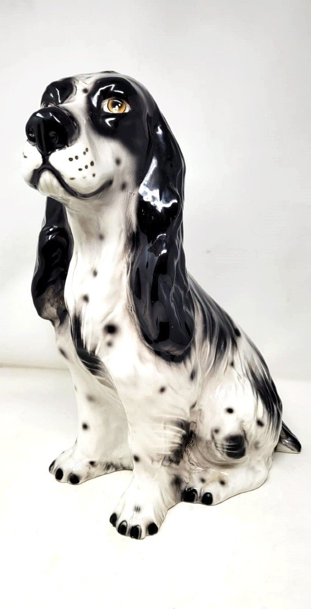 Glazed Ceramic - Spanish Cocker Spaniel - Circa 1970