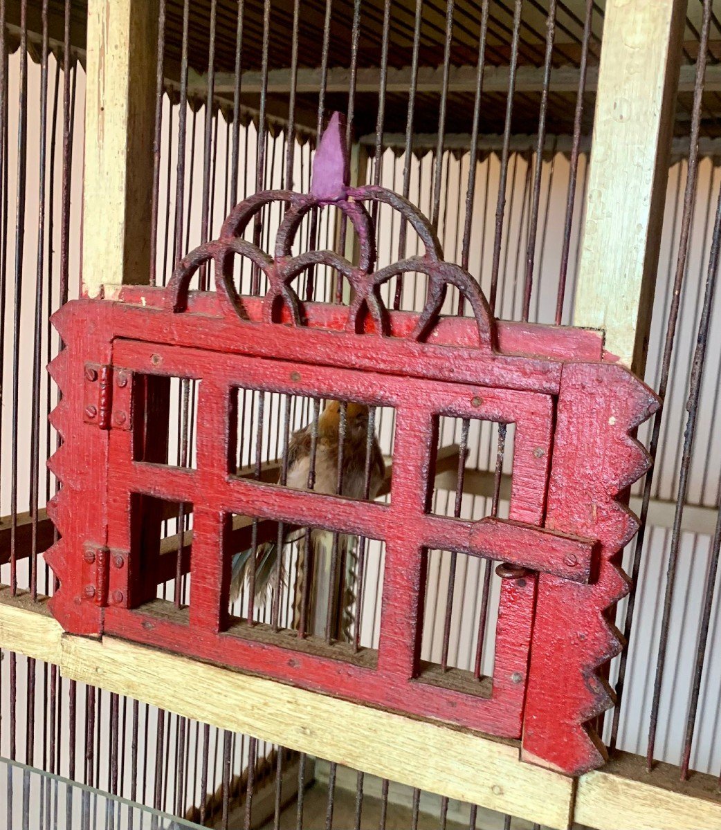 Cage à Oiseaux - Vers 1900-photo-2