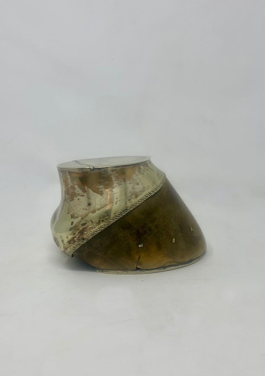 Transformed Horse Hoof -photo-5