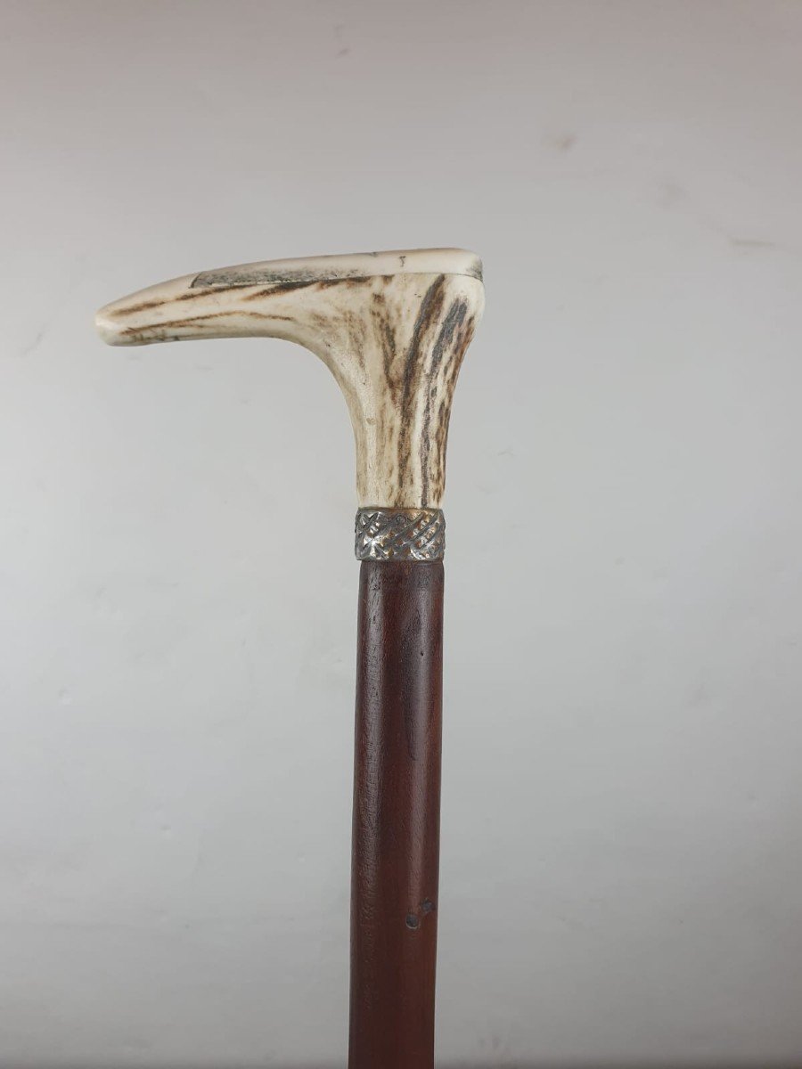 Freemason System Cane