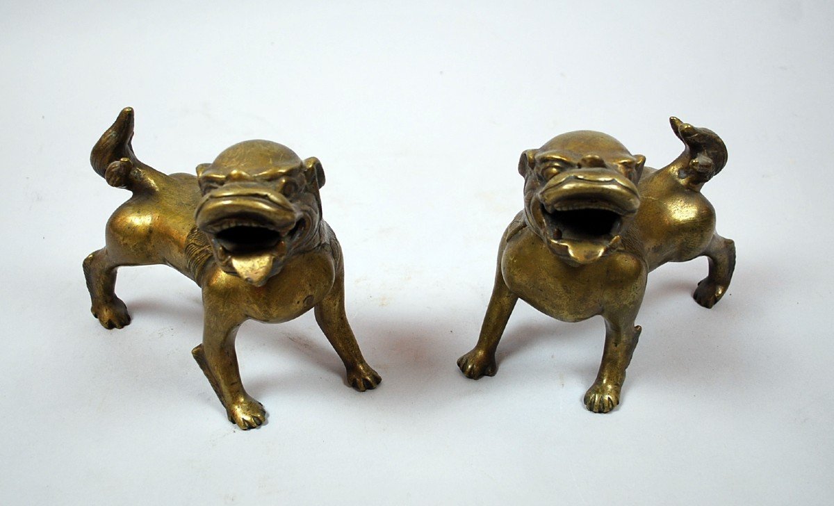 Paire De Chiens En Bronze-photo-2