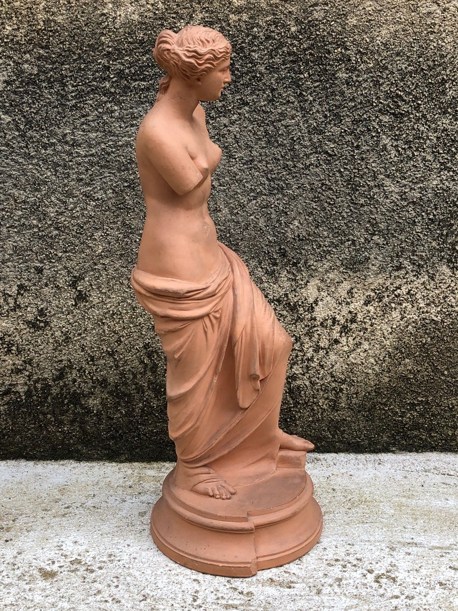 Venus De Milo Workshop Terracotta Late 19th -photo-2