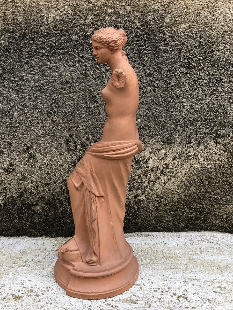 Venus De Milo Workshop Terracotta Late 19th -photo-3