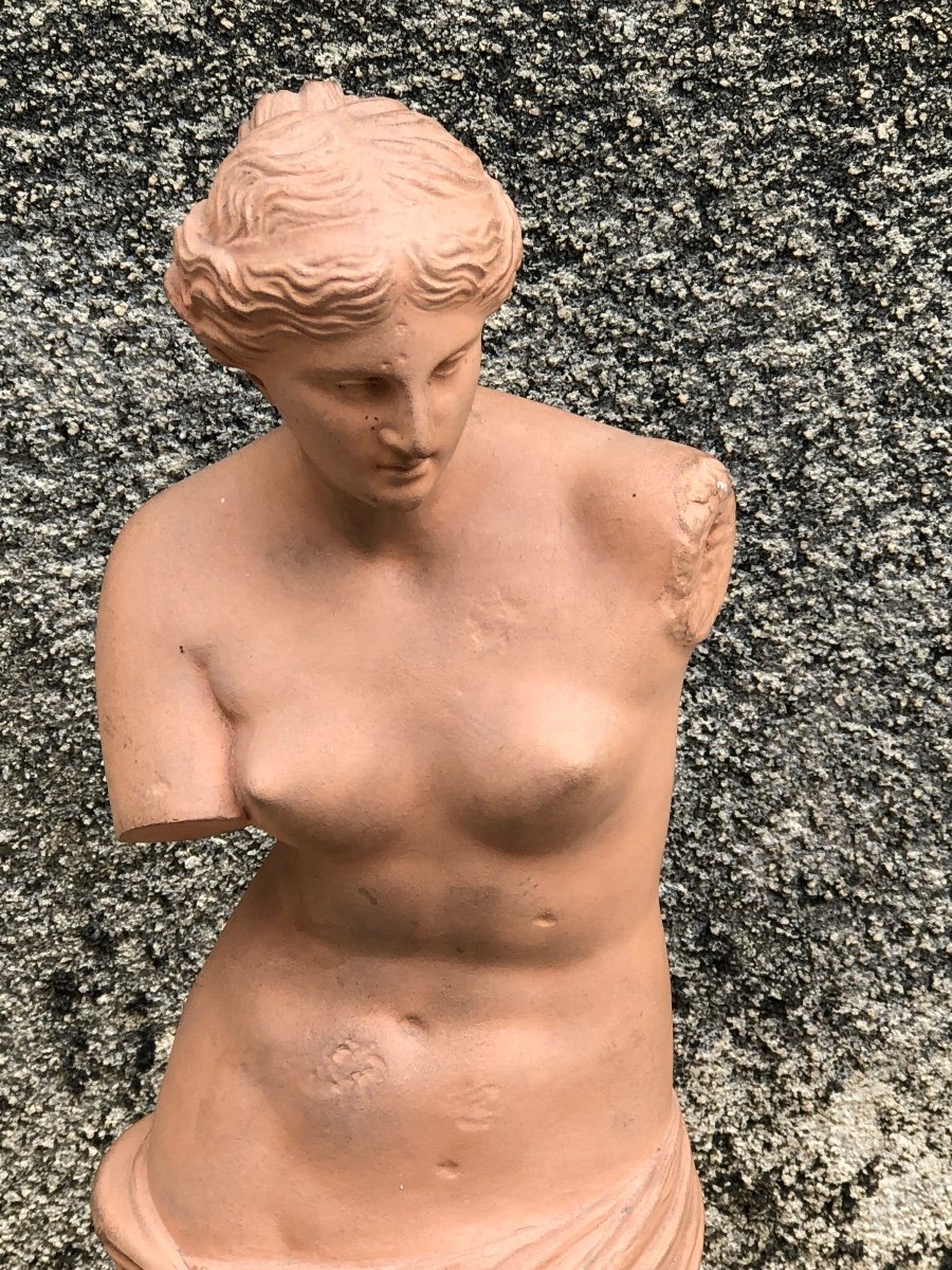 Venus De Milo Workshop Terracotta Late 19th -photo-6