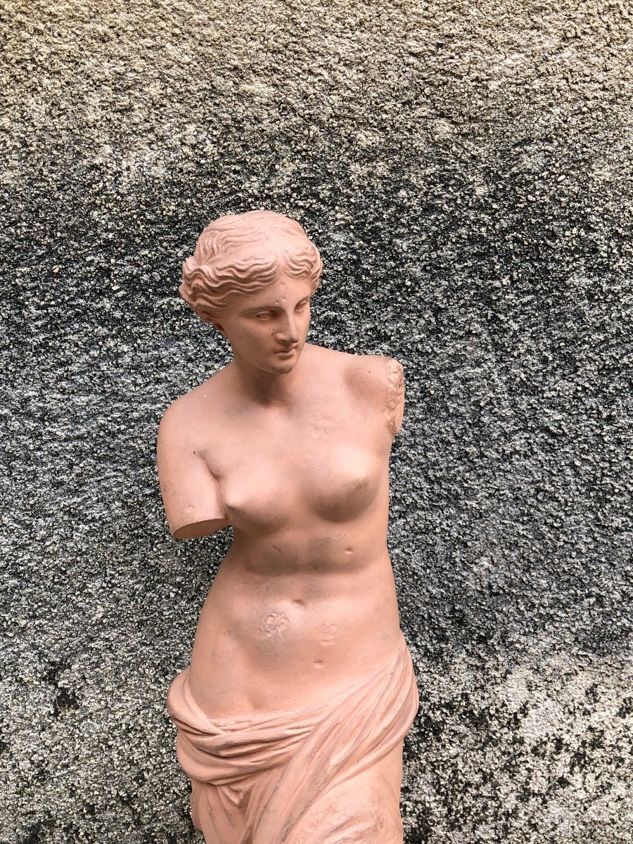 Venus De Milo Workshop Terracotta Late 19th 