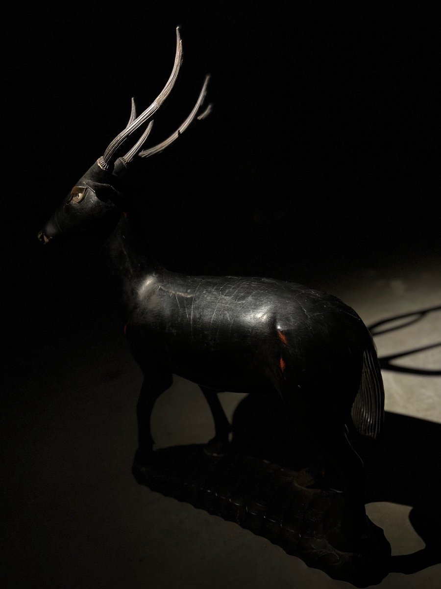 Large Lacquered Wood Deer Sculpture-photo-6