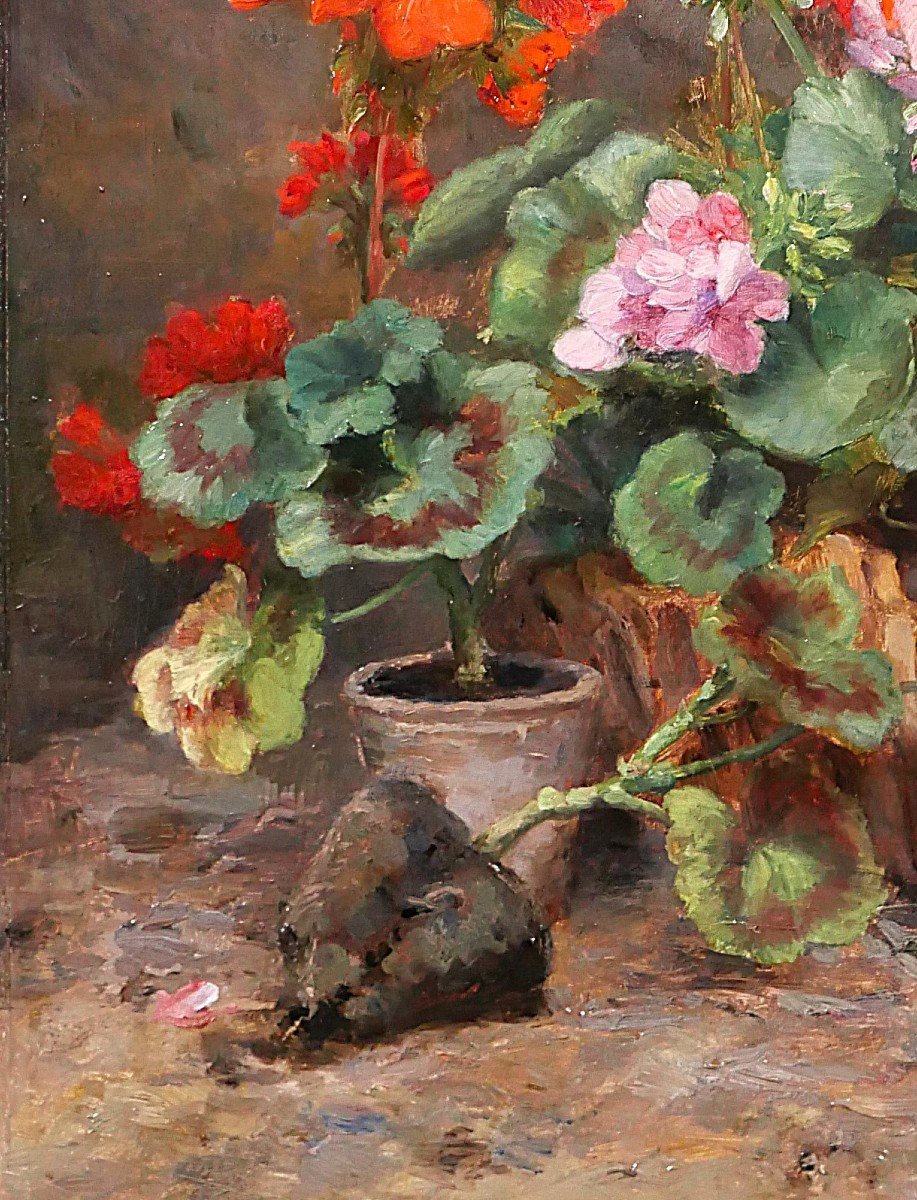 Antoine Lambert, Still Life With Flowers (geraniums), Painting, Circa 1890-1900, Garden-photo-4