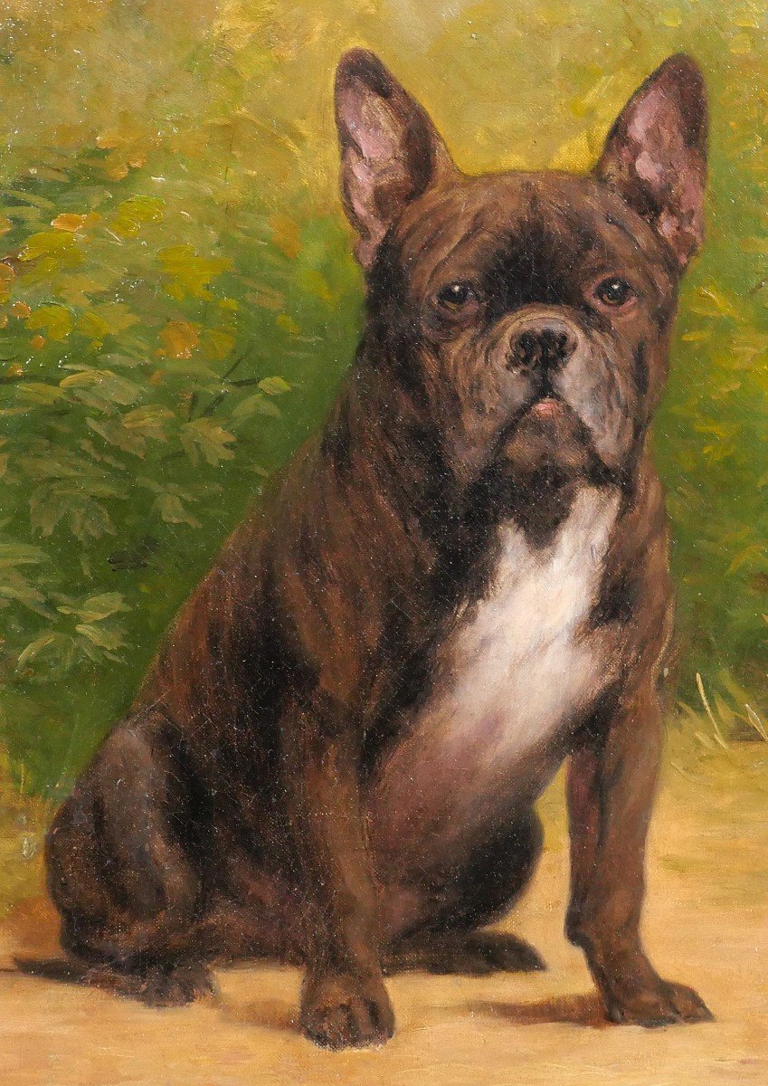 Léon Espinasse, 19th-20th, Portrait Of A Bulldog Dog, Painting, Circa 1890-1900-photo-4