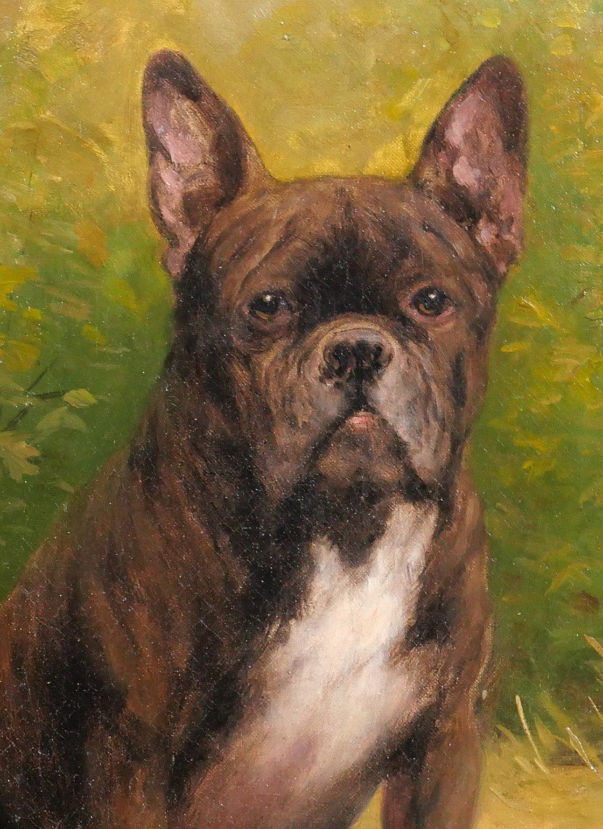 Léon Espinasse, 19th-20th, Portrait Of A Bulldog Dog, Painting, Circa 1890-1900-photo-1