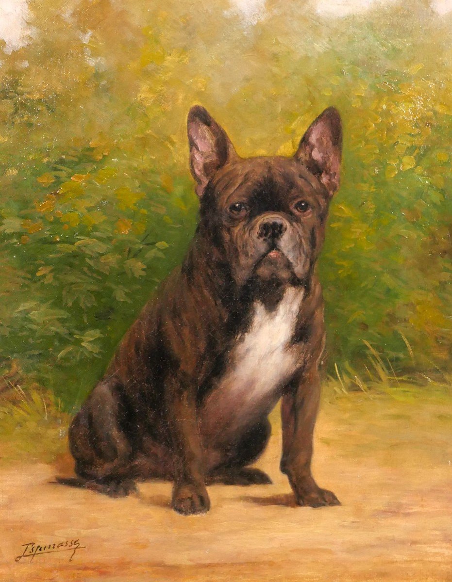 Léon Espinasse, 19th-20th, Portrait Of A Bulldog Dog, Painting, Circa 1890-1900