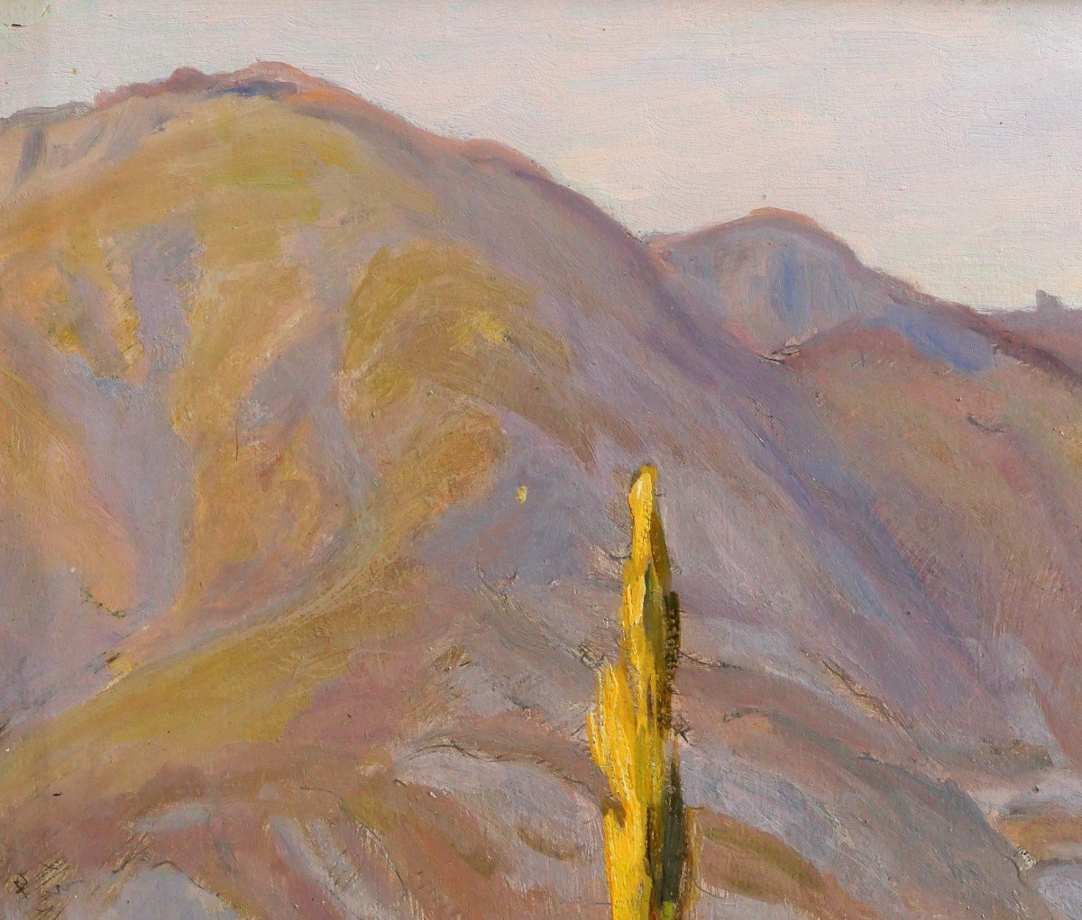 Charles WISLIN (1852-1932) Paysage d'Argelès-Gazost (Pyrénées), tableau, 1919-photo-1