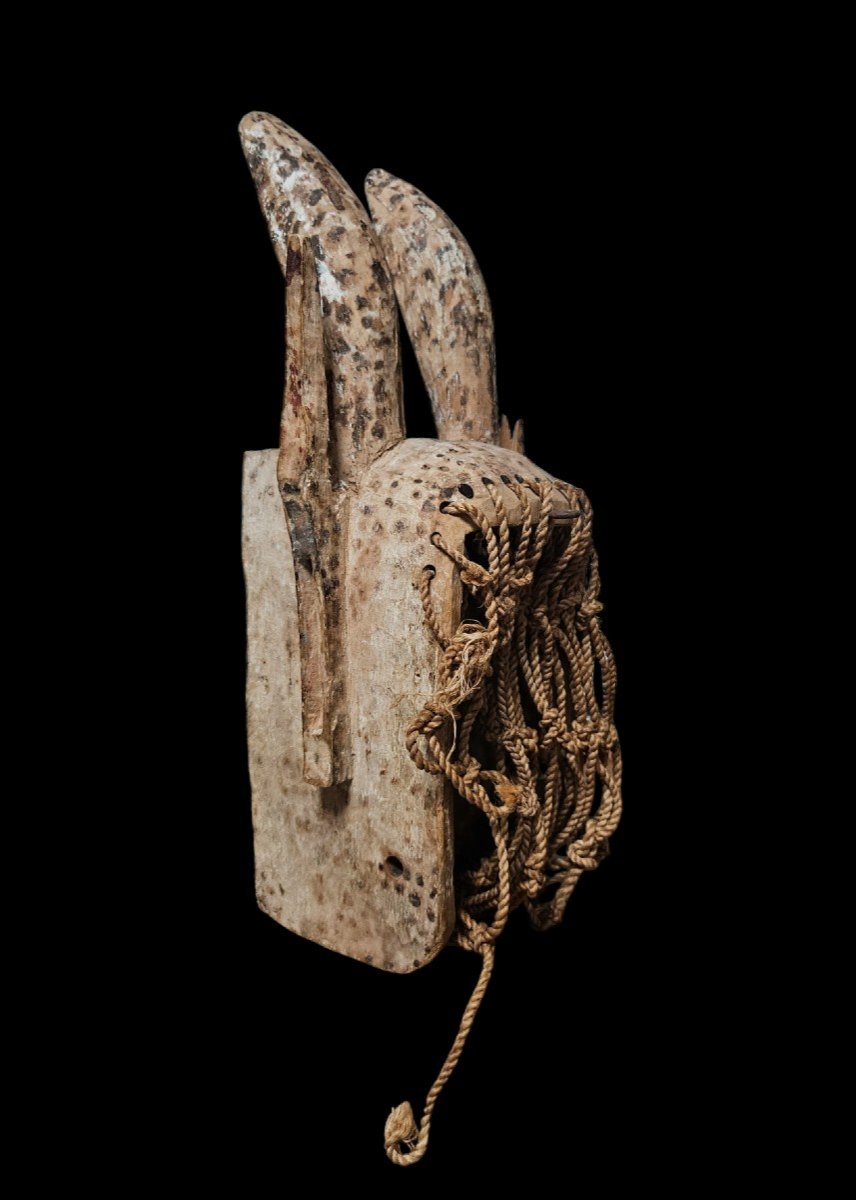 Hare Mask Dyommo Dogon Mali Ancient African Art-photo-2