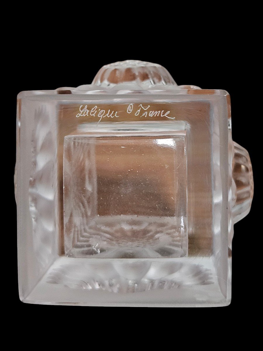 Lalique Crystal Paquerette Daisy  Circa 1950-photo-2