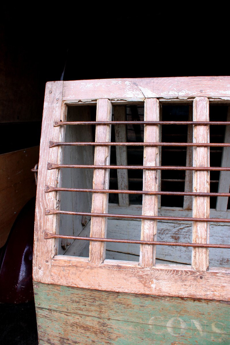 Ward's Case, Ancestor Of The Terrarium, 19th Century Museum Piece-photo-3