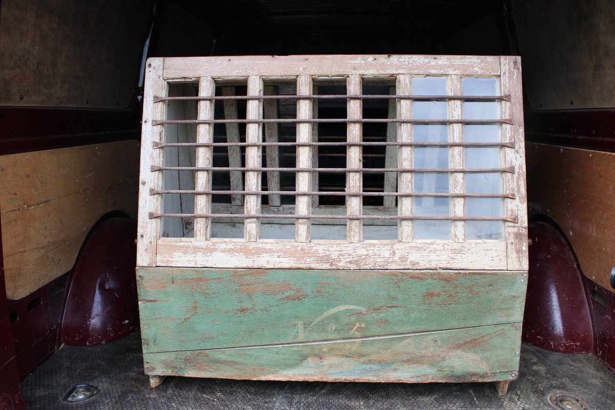 Ward's Case, Ancestor Of The Terrarium, 19th Century Museum Piece-photo-1