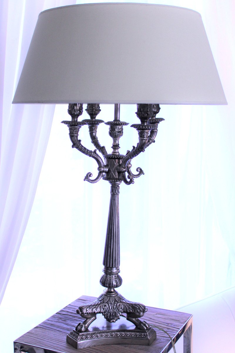 19th Century Silver Bronze Candelabra Lamp - 