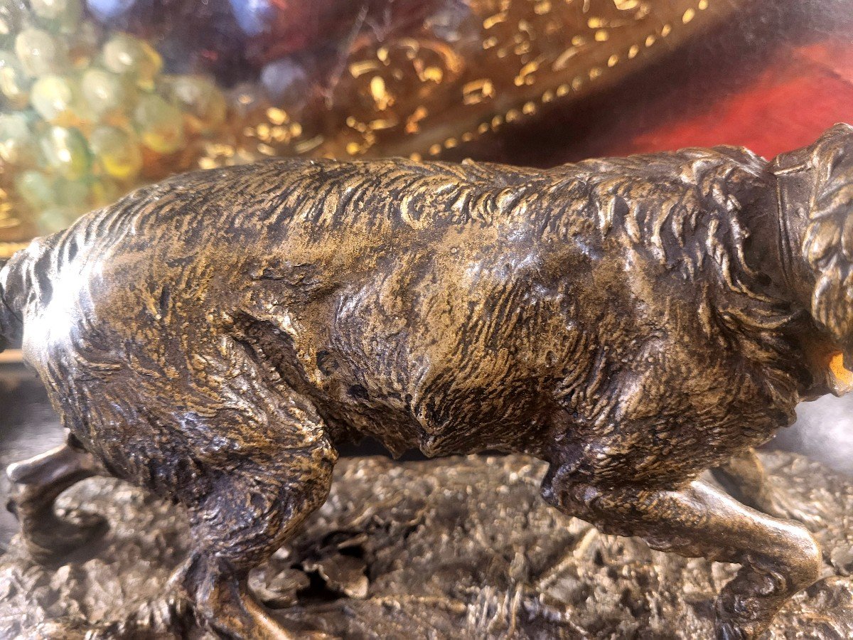 Brown Patina Bronze, French Spaniel Dog, 19th Century-photo-3