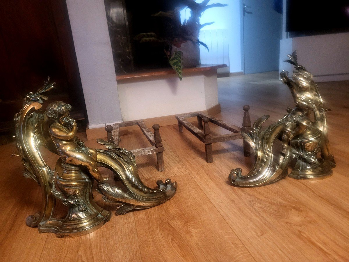 Pair Of Louis XV Bronze Andirons From The 18th Century-photo-4