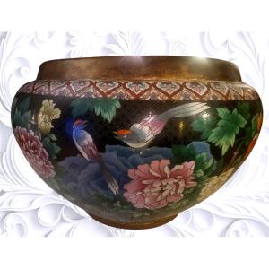 Cache Pot Cloisonné- Epoque XIXeme