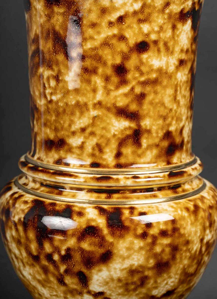 Vase  "Manufacture Nationale de Sèvres" 1883  aspect Marbré-photo-3