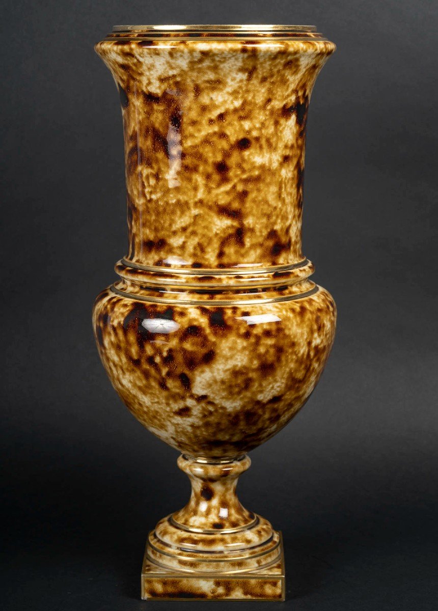 Vase  "Manufacture Nationale de Sèvres" 1883  aspect Marbré-photo-4