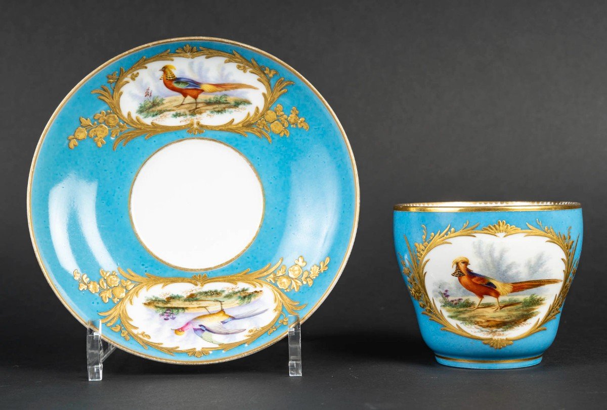 Large Paris "boyer" Cup With Polychrome Birds On A Sky Blue Background (1840),-photo-2