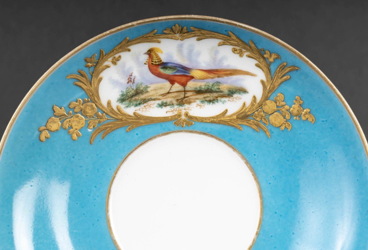 Large Paris "boyer" Cup With Polychrome Birds On A Sky Blue Background (1840),-photo-1